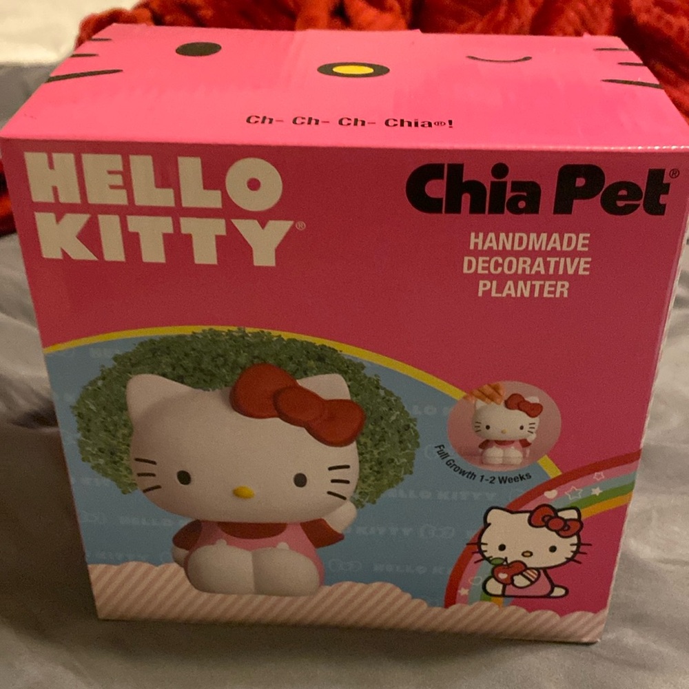 Hello Kitty Chia Pet